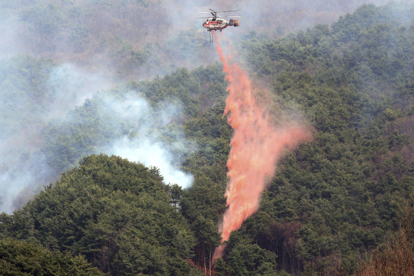 Korea Forest Service Helicopter drops a fire delay on a fire in Sancheong, South Korea on Tuesday.
