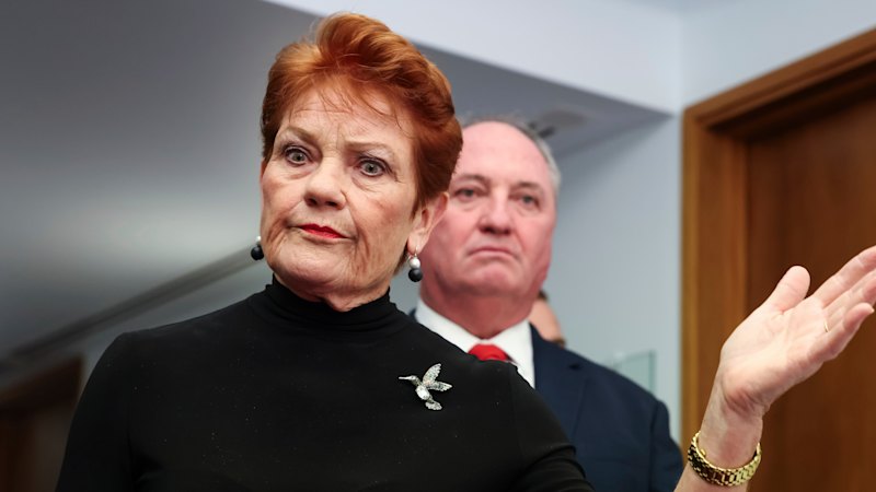 Pauline Hanson steps in to mop up MP’s One Nation housing policy confusion