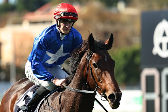 Will Stanley after winning on Flying Embers for John Thompson.