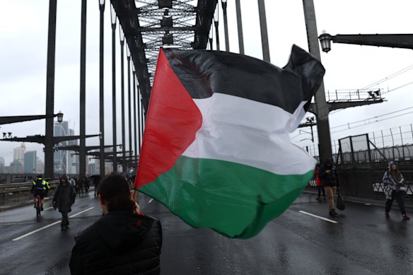 Pro-Palestine protesters on the bridge.  