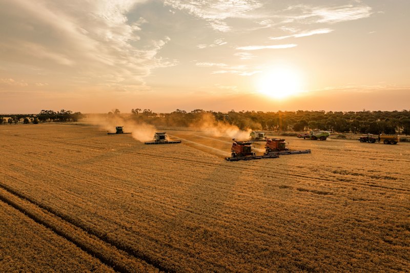 Torrumbarry Farms sprawls over more than 4000 hectares in northern Victoria.