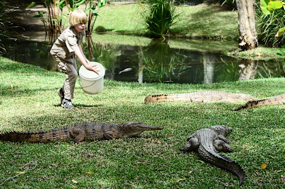 Irwin at age 8 at Australia Zoo.