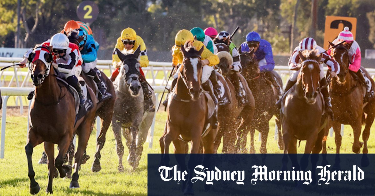 Race-by-race preview and tips for Hawkesbury on Thursday