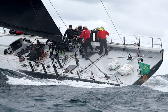 Moneypenny at the start of the race.