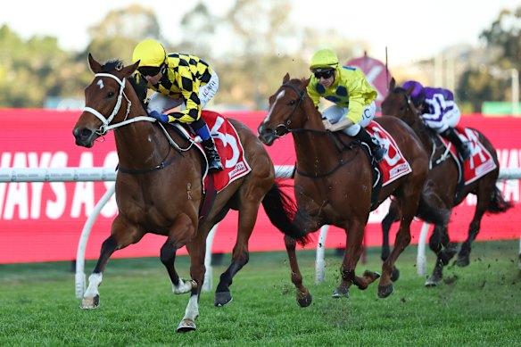 Autumn Glow cruises to victory in the Theo Marks Stakes at Rosehill.