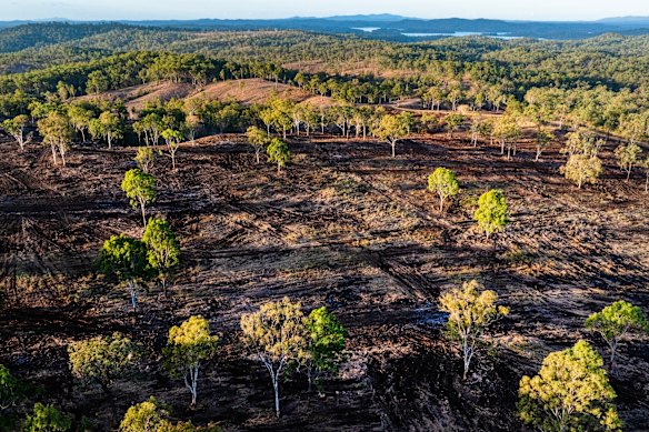 Land clearing near Gin Gin in late 2024.