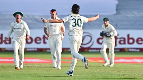Australia celebrate as the wicket of Tristan Stubbs tumbles.