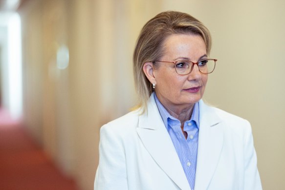 Opposition Leader Sussan Ley.