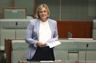 Crossbench MP Zali Steggall addresses the House of Representatives chamber in February.