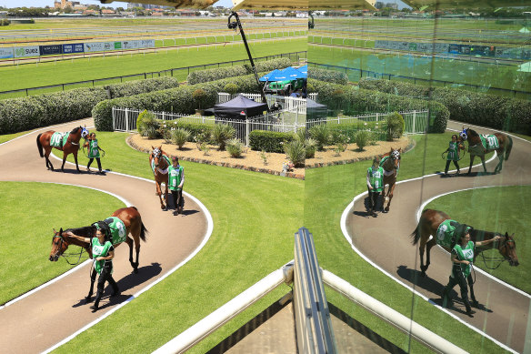 Racing returns to Newcastle on Friday.