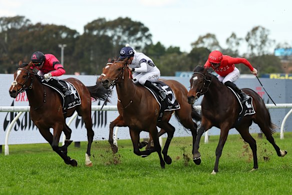 Ninja, left, winning at Rosehill on August 16.