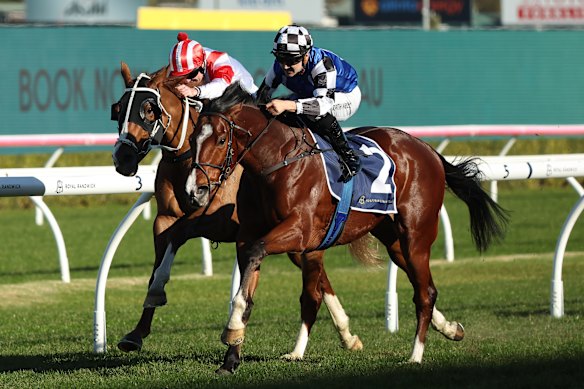 Braith Nock takes Royal Supremacy past Canberra Legend and to victory at Randwick on Saturday.