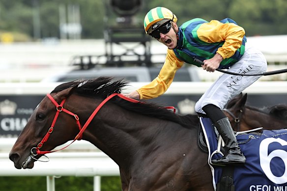 Autumn Glow will have to beat experienced runners such as Ceolwulf.