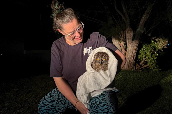 Jessica Crause, with Perry the rescued Powerful Owl.