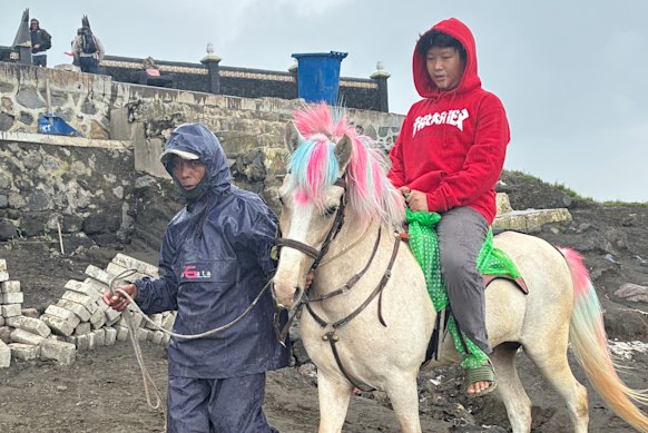 A painted pony transports its cargo through black sand.