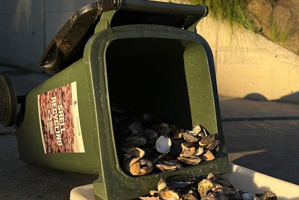 Oyster shells are being used to make hemp bricks for Efron’s home.