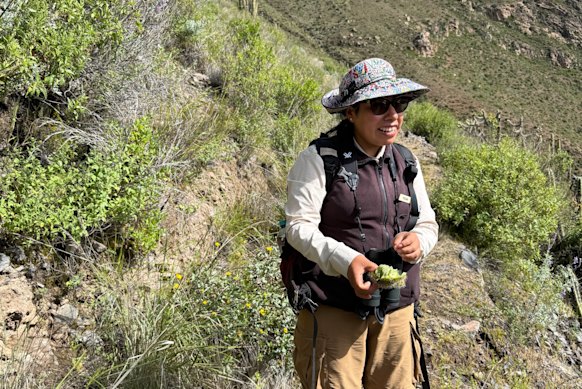 Guide Yulisa Oxa holds up a sancayo, a cactus fruit native to the Andes.