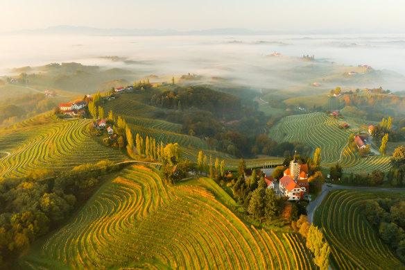 Slovenia – location  to 24 chiseled  gastronomic (and 3  wine) regions.