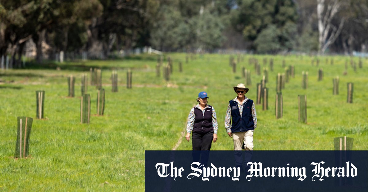 Residents fight Elloura estate development over removal of endangered eucalypts