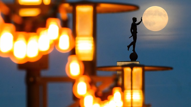 World in pictures this week, November 12, 2025