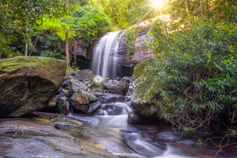 Buderim offers a change of scenery within easy reach of the coast.