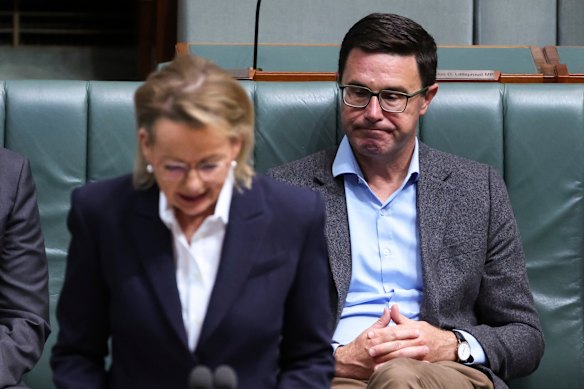 Opposition Leader Sussan Ley and Nationals leader David Littleproud in parliament on Wednesday.