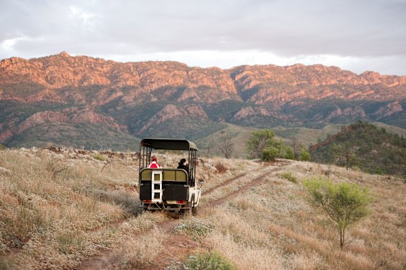 Safari drive through Arkaba Conservancy in the Flinders Ranges.
