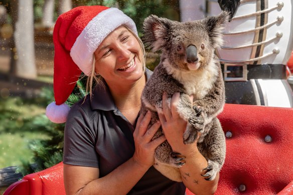 Sydney Zoo Christmas Spectacular.