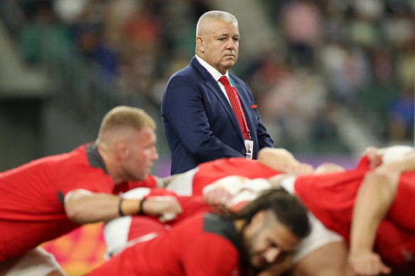 Wales manager  Warren Gatland volition  reacquaint with Joe Schmidt arsenic  a caput  manager  for the archetypal  clip  since 2019.