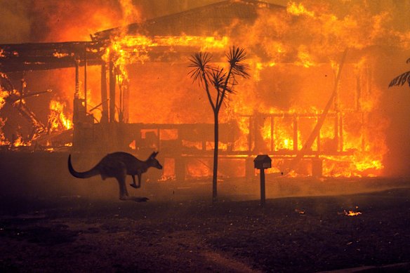 The fires at Lake Conjola were among the fiercest of Black Summer 2019.