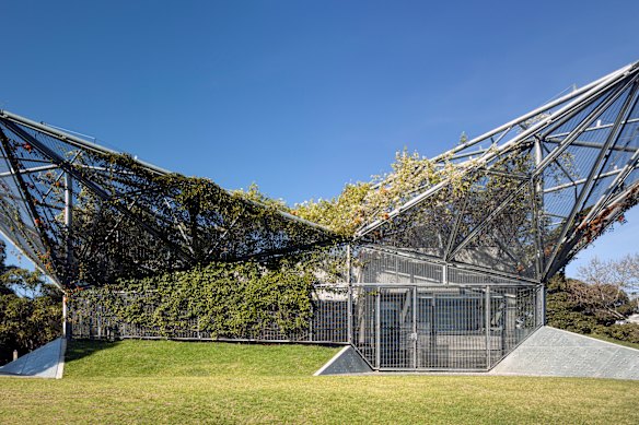 The mesh metal structure of the youth and community services centre in Sydney’s inner-city Waterloo allows plantings to take over.