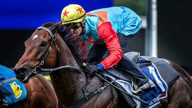 Ka Ying Rising during his trial at Randwick.