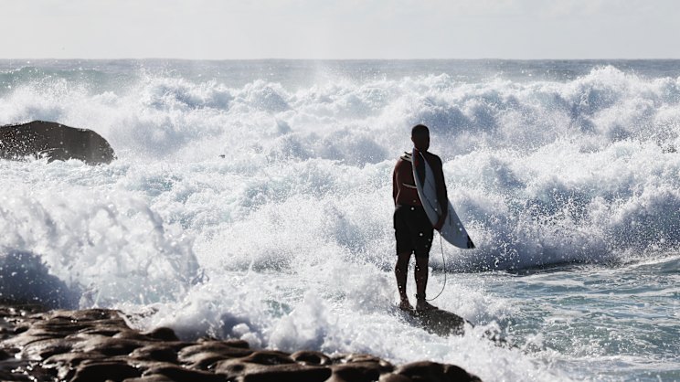 Shark protection monitoring along Sydney beaches