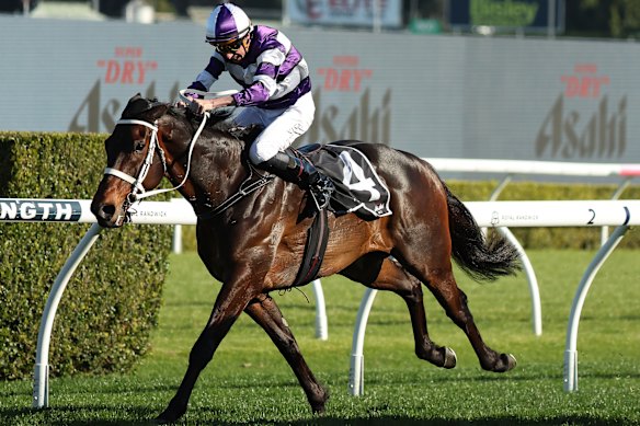 Nash Rawiller pushes Lindermann to victory in the Chelmsford Stakes.
