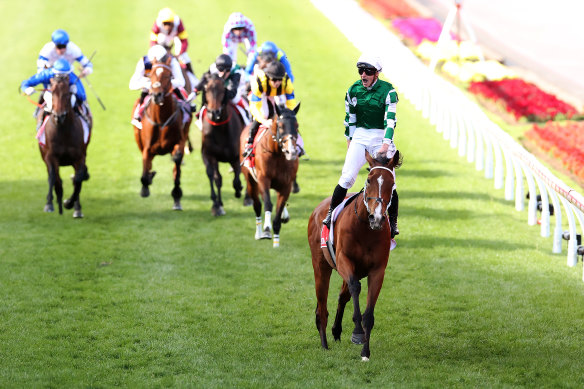 Via Sistina returns to Moonee Valley on Saturday to defend her Cox Plate crown.