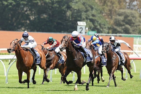 It’ll be a busy 10-race meet at Randwick on Saturday