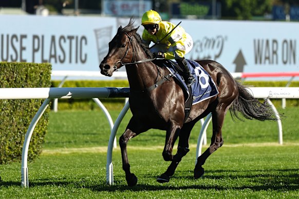 Alysha Collett winning the group 3 Bill Ritchie Handicap aboard With Your Blessing two weeks ago at Randwick.