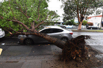 Il y avait beaucoup de ces scènes à Melbourne la semaine dernière. 