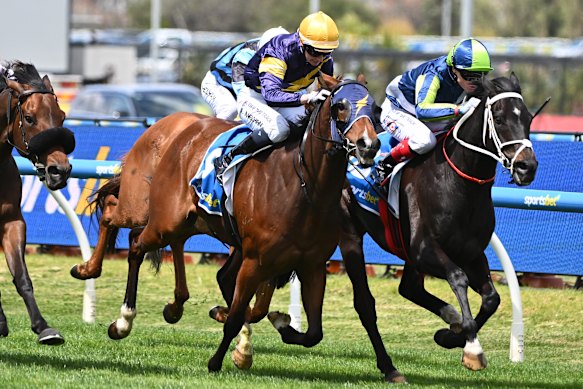 Brayden Star, right, wins the Herbert Power Stakes at Caulfield.