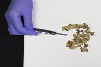 L'Autorité israélienne des antiquités a affiché les fragments de manuscrits de la mer Morte récemment découverts.
