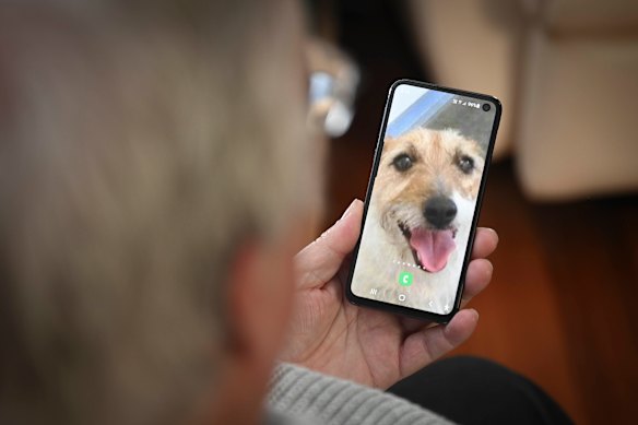 Graham Wynn has a photo of his late dog Meka who, Wynn says, gave him a reason to get out of bed during tough times.