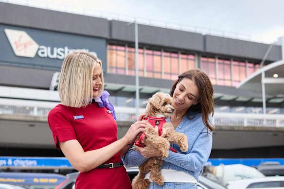 Vet Katrina Warren (right) joined Virgin’s inaugural flight allowing small dogs in the cabin.