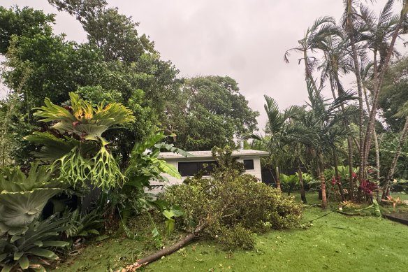 The vast bulk of the claims so far are related to trees falling on homes and cars, insurers say.