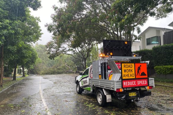 A tree blocks a New Farm street the day after Alfred hit Queensland.
