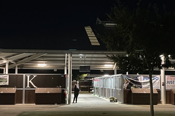 A security guard watches over the Winx filly before dawn on the morning of her sale at the Inglis Australian Easter Yearling Sale.