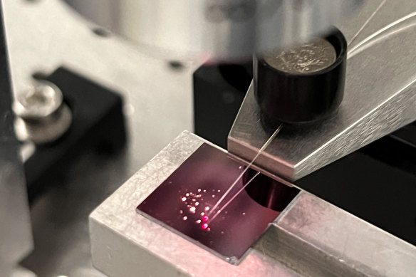 Technology tamfitronics Testing on the chip being carried out.