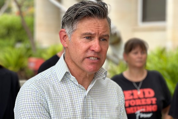 Greens leader Brad Pettitt.