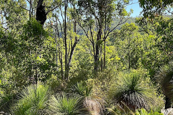 Holyoake, one of Alcoa’s planned expansion zones around Pinjarra. 