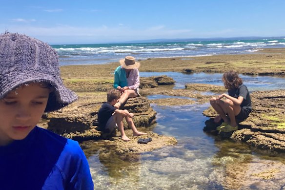 Woody Davidson (9), Jesse Davidson (11), Kristina Davidson and Max Davidson (14) playing in rockpools at Ocean Grove beach. 