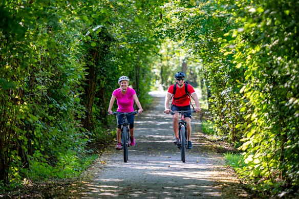 A pair of cyclists is cheerfully enveloped by a lush forested section of Alpe Adria in Italy.